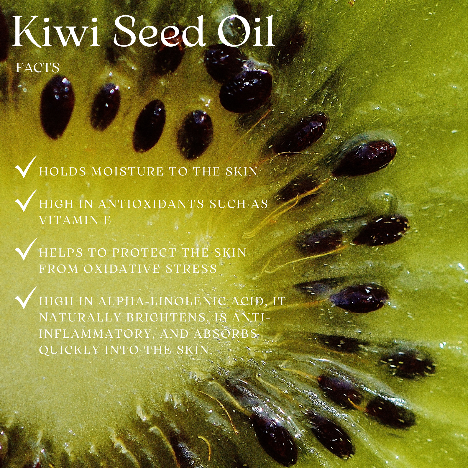 Spot-Free Body Oil